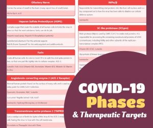 Covidphases Targets