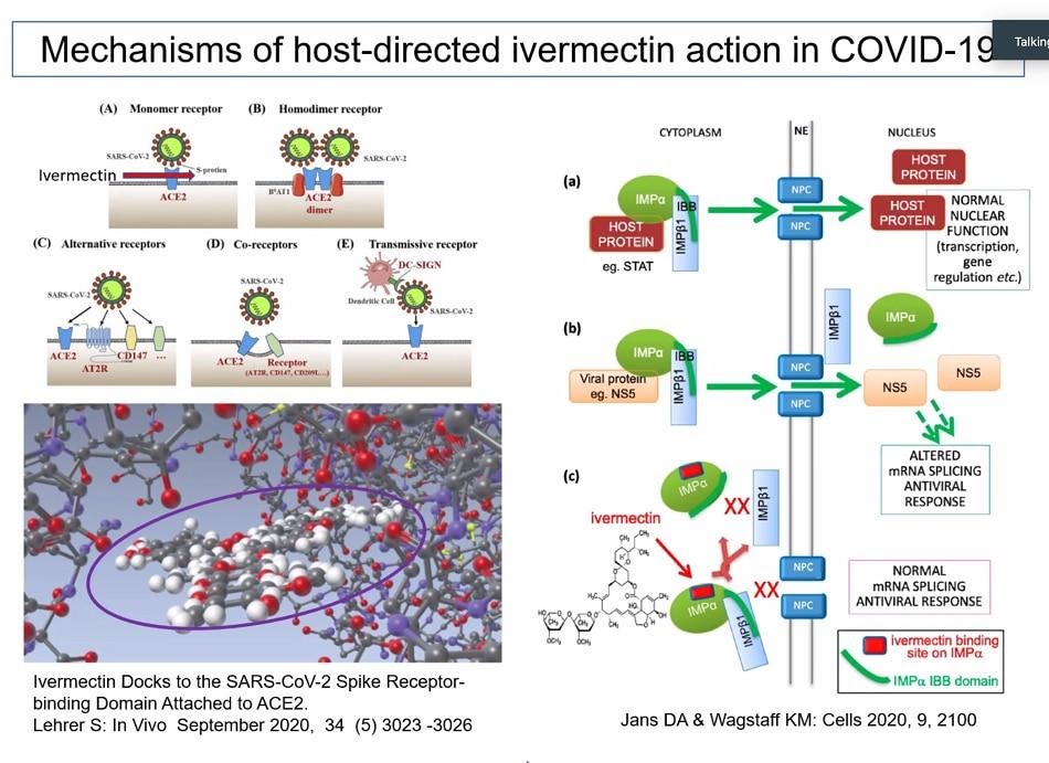 Ivermectin Mechanisms