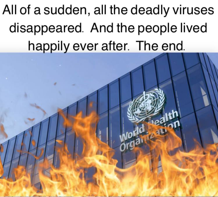 Who Prevent Next Pandemic