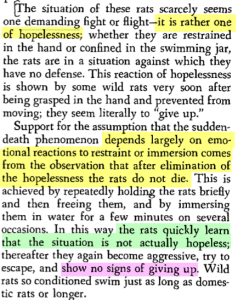 Richter Rats Hopelessness