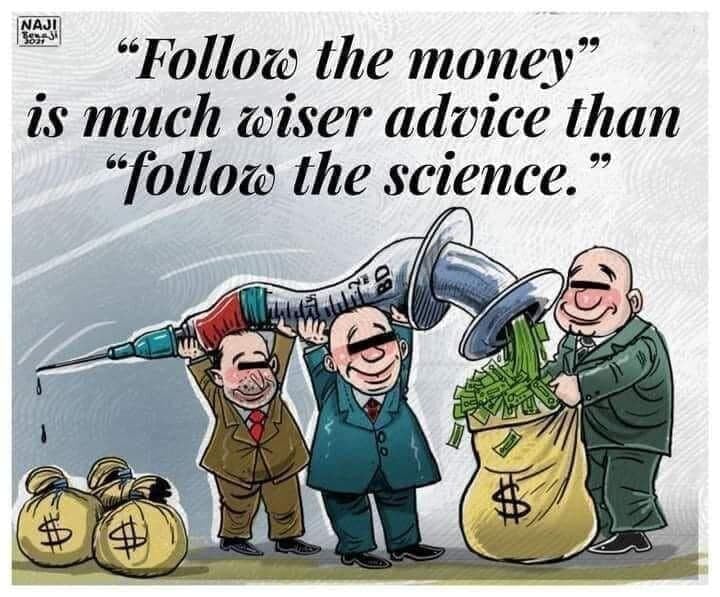 Follow Money