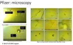 Pfizer Microscopy