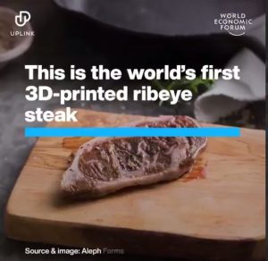 Wef 3dprinted Steak