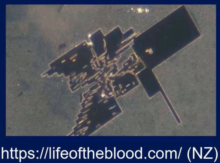 Pfizervialnz Orderedsheets