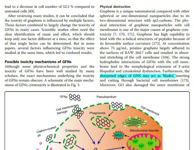 Toxicity Graphene Family Nanoparticles P14 Blades