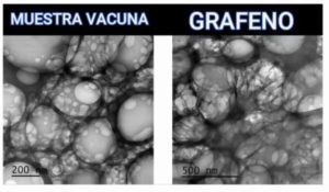 Musetravacuna Grafeno