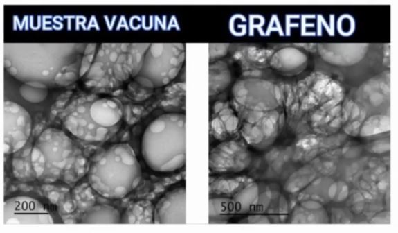 Musetravacuna Grafeno