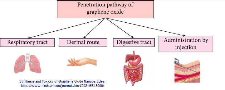 Pathways Graphene Oxide