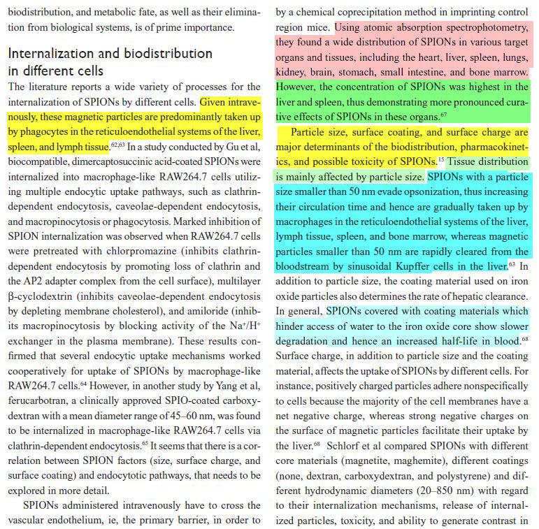 Superparamagnetic 2012g