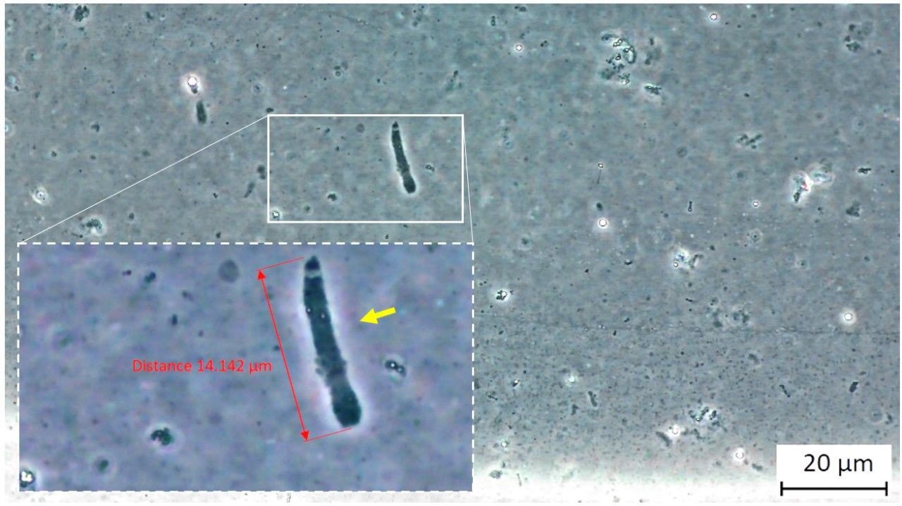 Drjohnb Modernamicroscopy 3