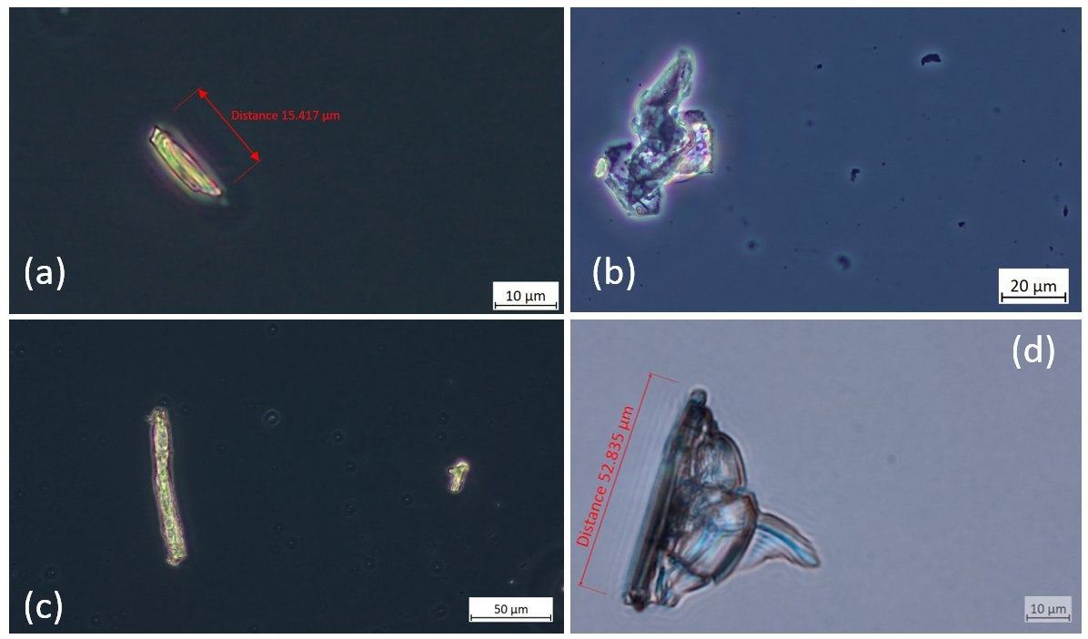 Drjohnb Pfizer Microscopy 9