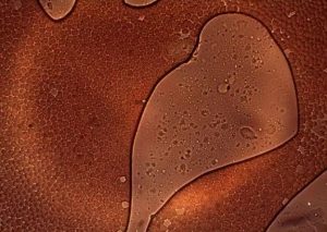 Drphilippe Blood 50 Graphene Blobs 8yochild