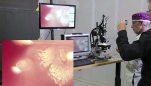 Fleming Janssen Drop 6