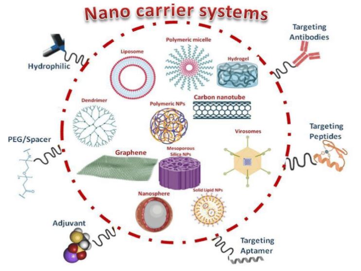 Graphene Nanocarrier Systems Vaccines