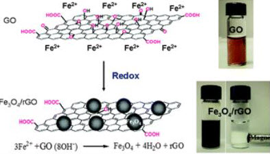 Rgo Magnetic And Transparent