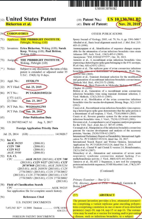 Coronavirus Pirbrightinst