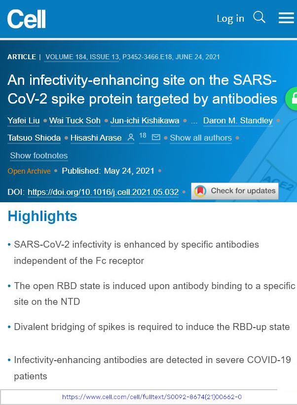 Infectivity Enhancing Spike Cell
