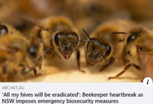 Beekeeper Honey Bees Abc