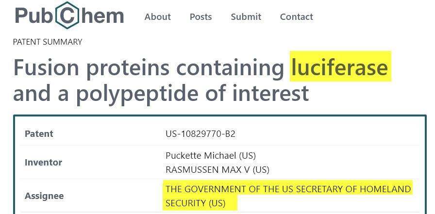 Homelandsecurity Luciferase