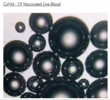 Young Graphene Bubbles2