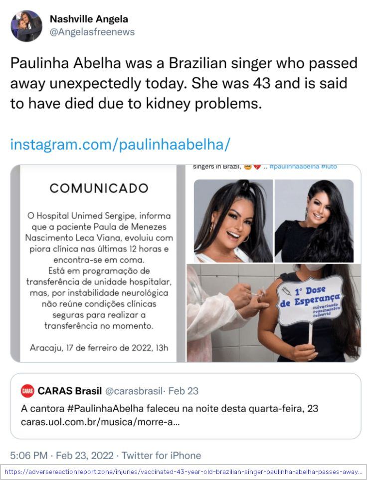 Paulinhaabelha