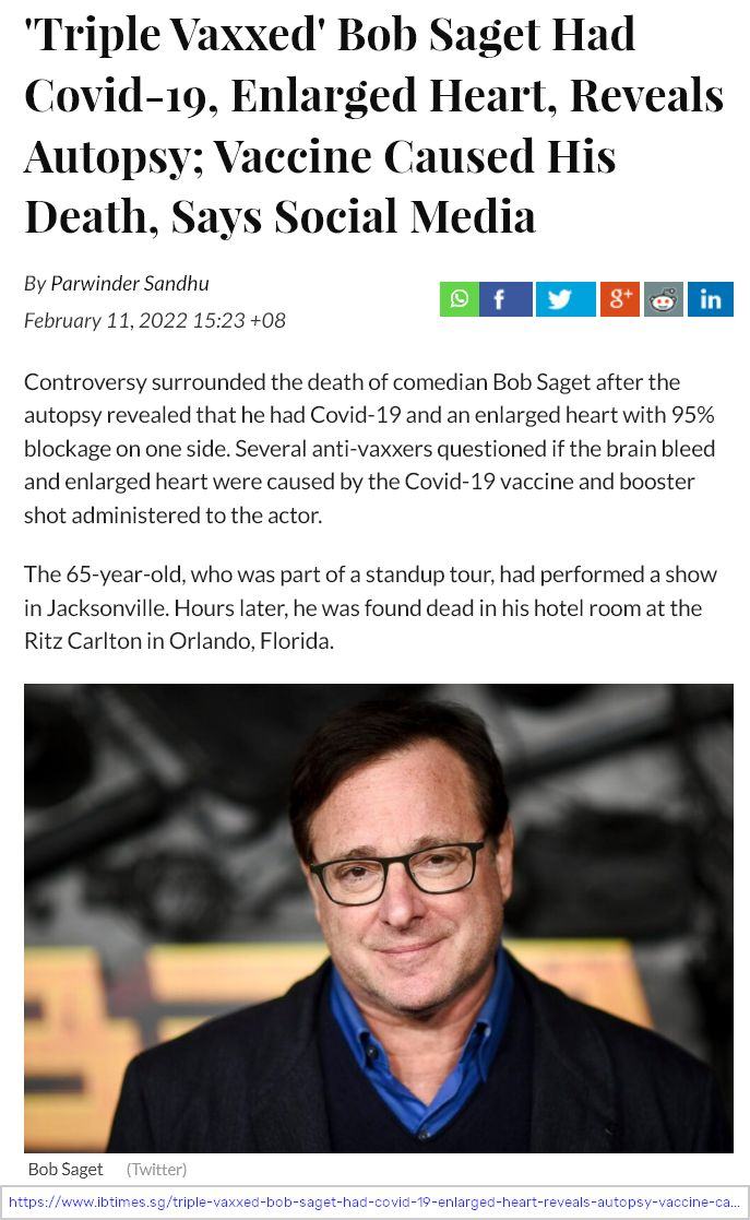 Bobsaget