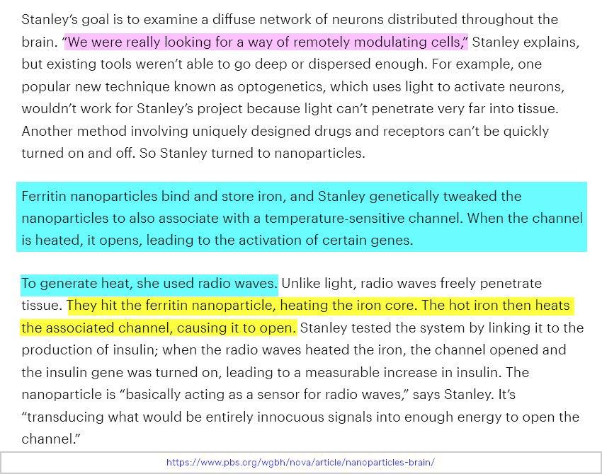 Nova Nanoparticles Brain