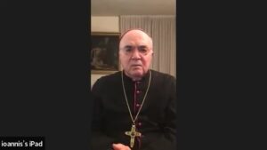 Archbishop Vigano Nanostructure Nov2022
