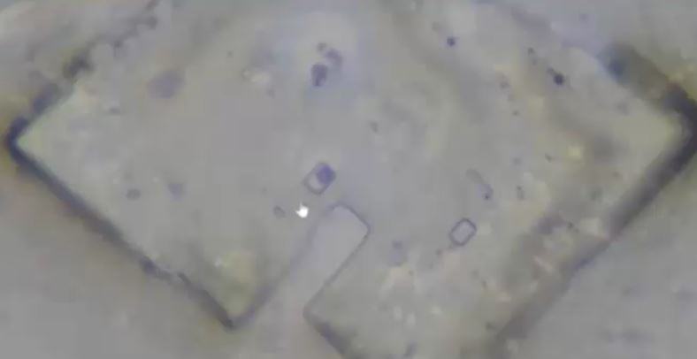 Davidnixon Donut Rectangle