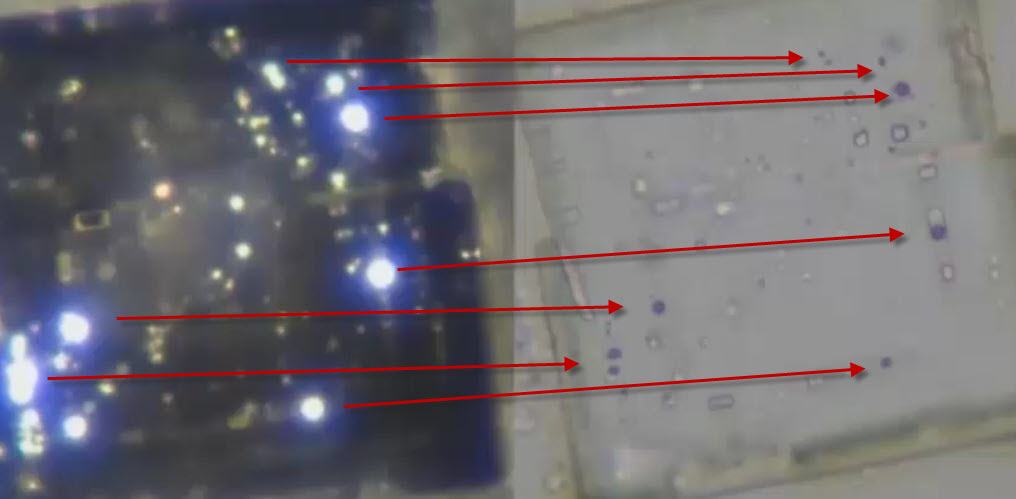 Davidnixondarkbrightcompare