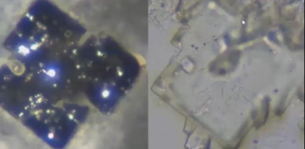 Davidnixondarkbrightcompare2