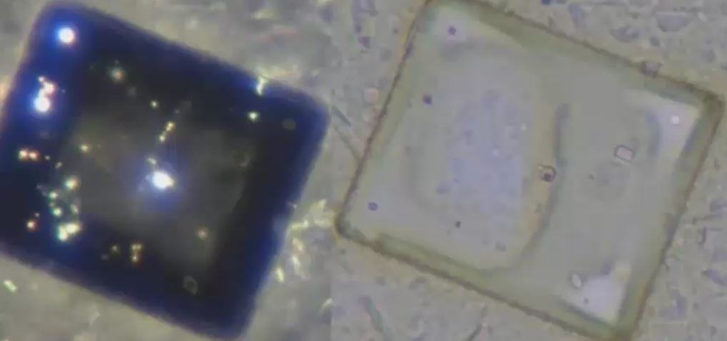 Davidnixondarkbrightcompare3