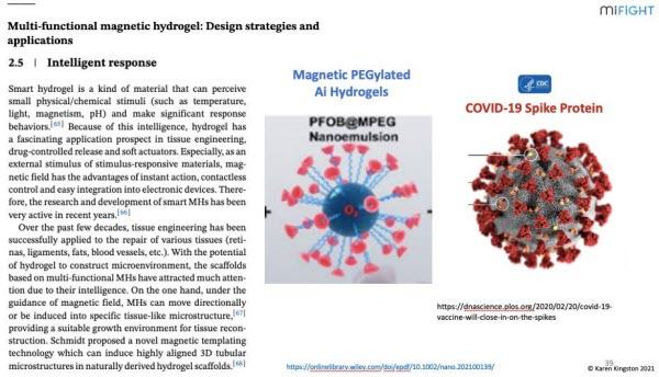 Karen Kingston Patent Evidence