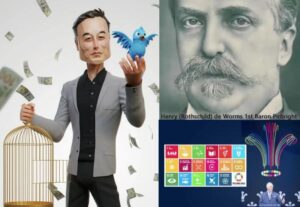 Musk Rothschild King