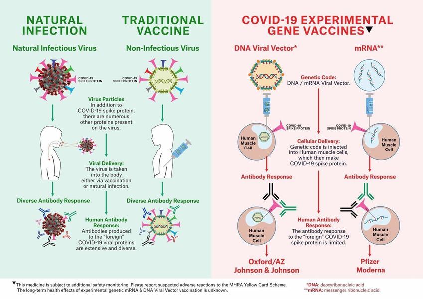Covid Cure Or Perpetual Vaccination 30 C 147