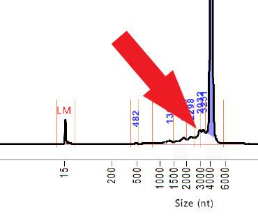 Jikkyleaks Foi Deathbatches Redarrow