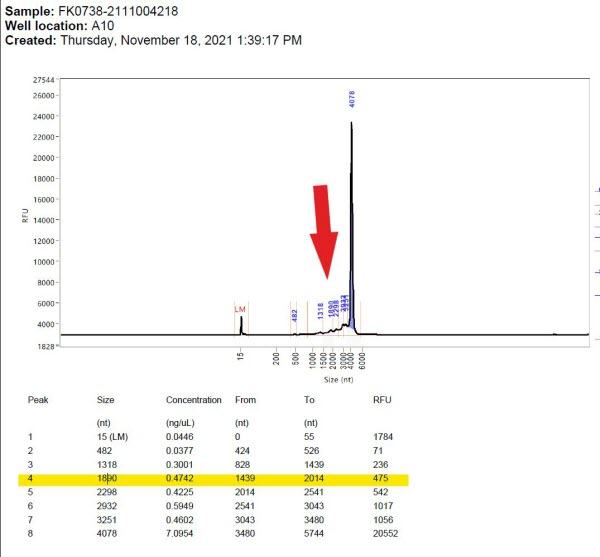 Jikkyleaks Foi June2022c