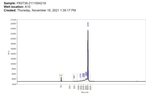 Jikkyleaks Foi Wella10