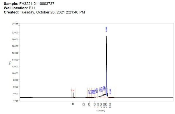 Jikkyleaks Foi Wellb11a