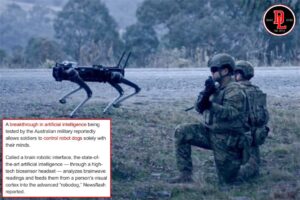Australia Ai Robodogs