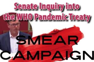 Who Pandemic Treaty Senator Shoebridge