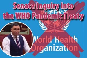 Who Pandemic Treaty Babet