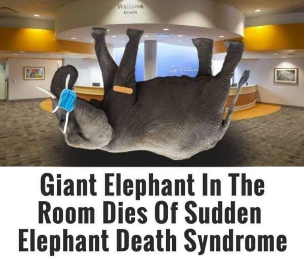 Sudden Elephant Death Syndrome