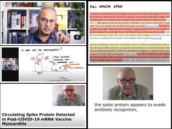 Been Campbell Samestudy Vaxspike Myocarditis