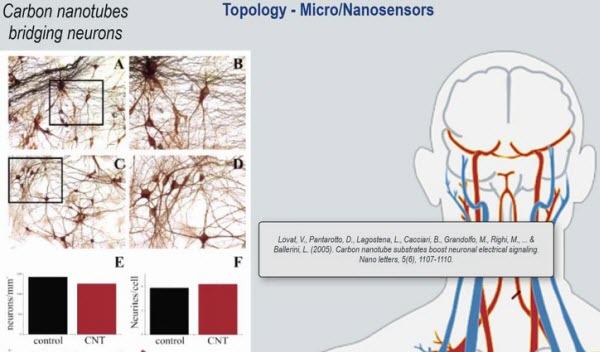 Bluetruth Bridgingneurons2023 01 13 19h17m15s435