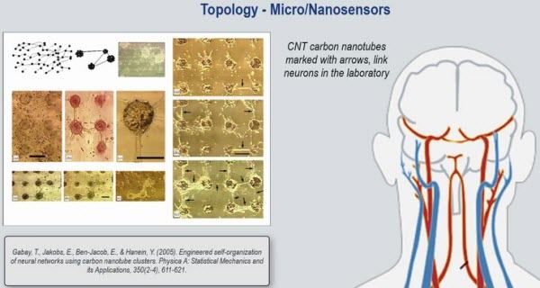Bluetruth Carbonnanotubes2023 01 13 19h17m04s802