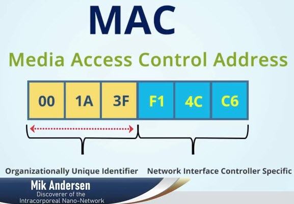BlueTruth Documentary - MAC Address 1