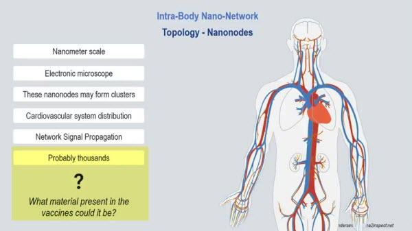 Mikandersen Nanonodes