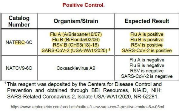 Pcr Positive Control