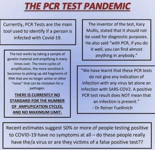 Pcr Pandemic